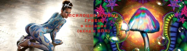 твердый Ивантеевка