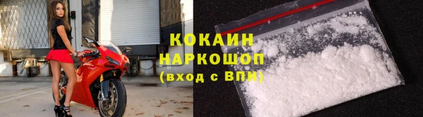 таблы Новозыбков
