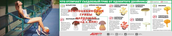 ПСИЛОЦИБИНОВЫЕ ГРИБЫ Нея