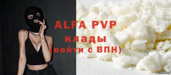 таблы Новозыбков