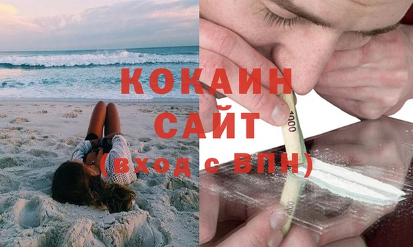 ПСИЛОЦИБИНОВЫЕ ГРИБЫ Нея