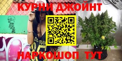 прущие крисы Дубна