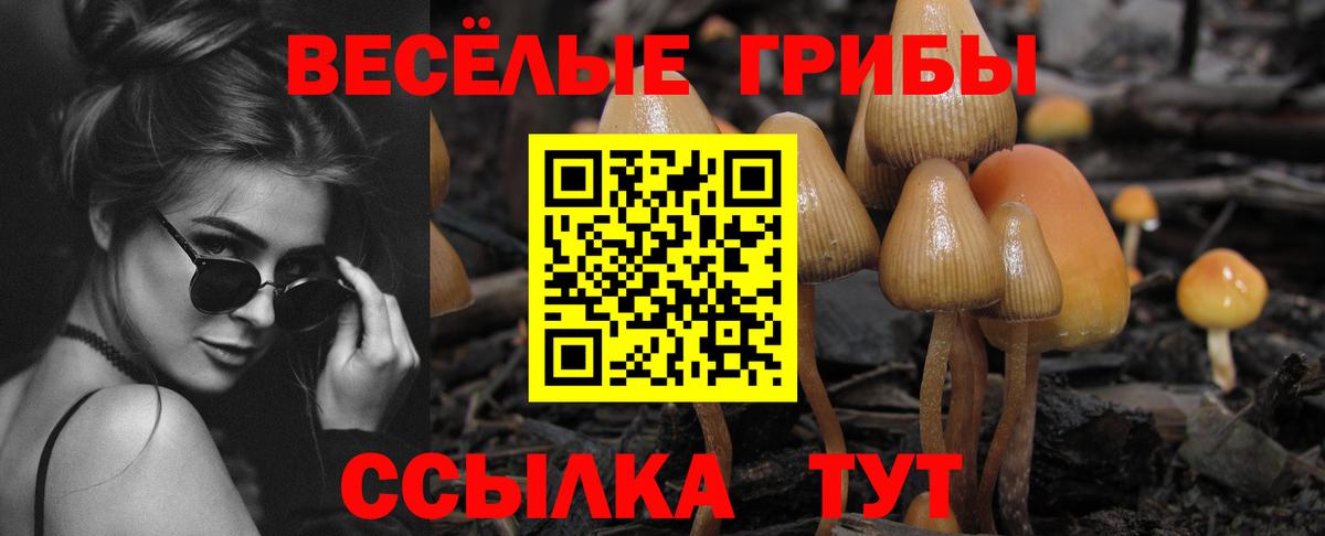Конаково  наркота  Вход с VPN  Галлюциногенные грибы мицелий 